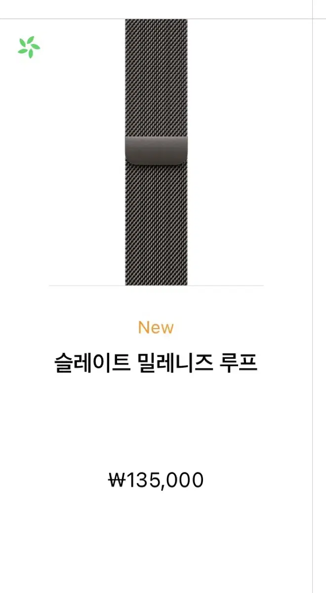 애플워치 스트랩 정품